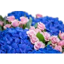 kytice hortenzií a trsových růží